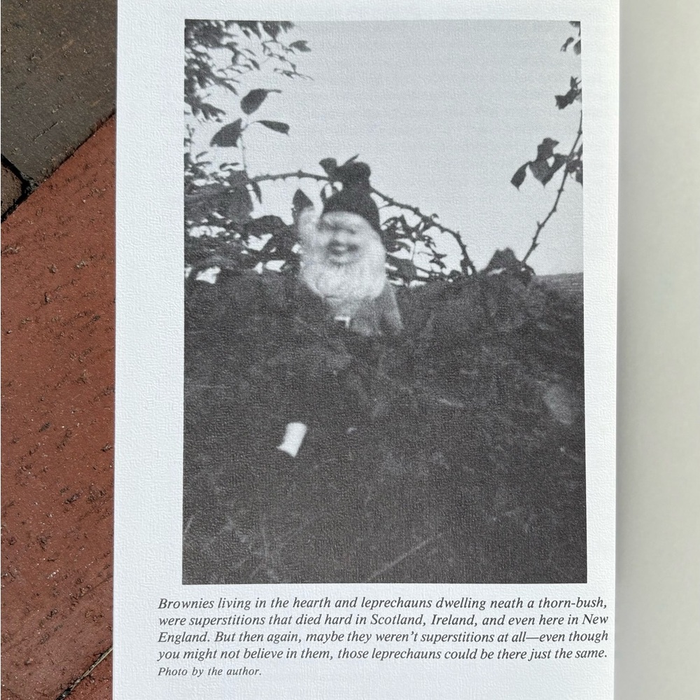 1990 Olde New England's Strange Superstitions Witches Black Magic Salem MA Devil - Picture 8 of 10